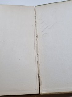 Klíč k určování našich hub hřibovitých a jedlovitých