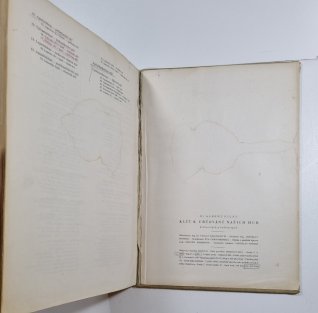 Klíč k určování našich hub hřibovitých a jedlovitých