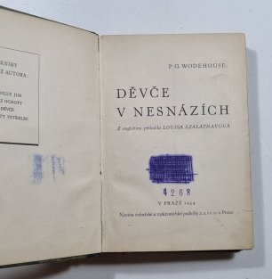 Děvče v nesnázích