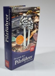 Der grosse BLV Pilzführer für unterwegs