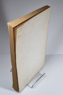 Castellogica bohemica 2