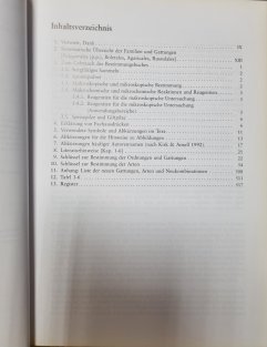 Röhrlinge und Blätterpilze in Europa