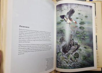 The Flying Dinosaurs