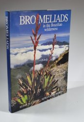 Bromeliads in the Brazilin wilderness - 
