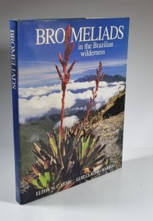 Bromeliads in the Brazilin wilderness
