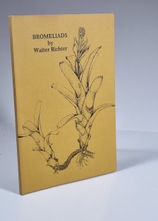 Bromeliads 