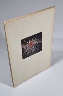 Bromeliads - A Cultiral Handbook
