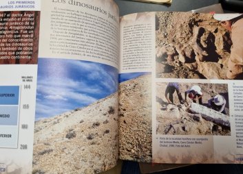 Dinosaurios y Pterosaurios de América del sur (španělsky)