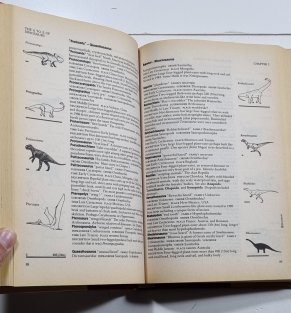 Dinosaur Data Book
