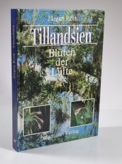 Tillandsien - Blüten der Lüfte - 