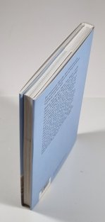 Die Vorarlberger Burgen