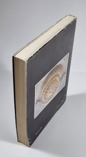 Archaeologia historica 17/92