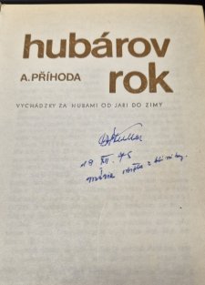 Hubárov rok (slovensky)