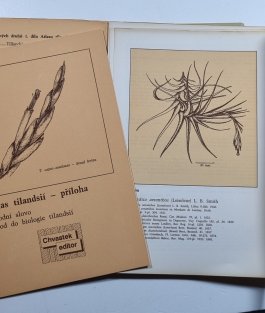 Atlas Tilandsií I.+II.