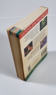 Dinosauři do kapsy - Ottova encyklopedie