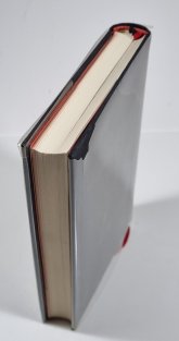 Labyrintem tajemna aneb Průvodce po magických místech Československa