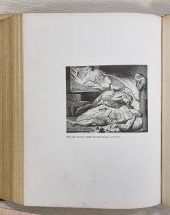 Moderní revue 1911 