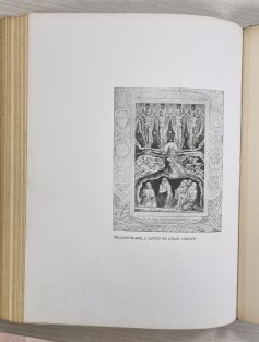 Moderní revue 1911 
