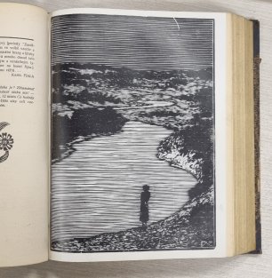 Moderní revue 1911 