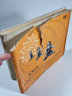Joga - Slnečná cesta ku kráse a zdraviu (slovensky)