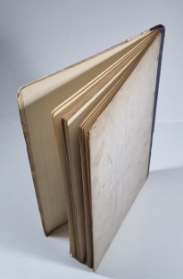 Princezná Kazileňa (slovensky)