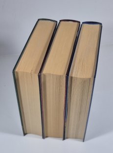 Martin ze Stvolna 1-3 - Prodavači ostatků / Sběratelé ostatků / Vládcové ostatků