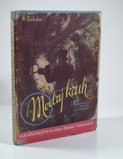 Modrý kruh - 