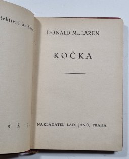 Kočka