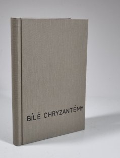 Bílé chrysantémy 