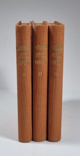Učitel Pavlát I.-III.