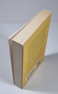 Případy soudce Ti - Tajemství čínské zahrady