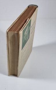 Veselá ves