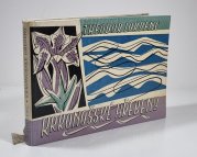 Krkonošské hřebeny - 