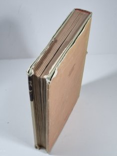 Za lovcami lebiek (slovensky)