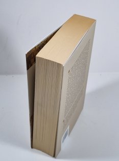 Vídeň - literární toulky dunajskou metropolí