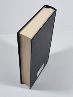 V duchu Edgara Allana Poea