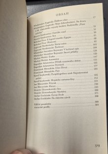 V duchu Edgara Allana Poea