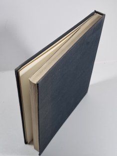 Nové slovenské výtvarné umenie - Nová Vlna - Nástup 1957, Nástup 1961(slovensky)