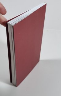 Příhodná chvíle, 1855