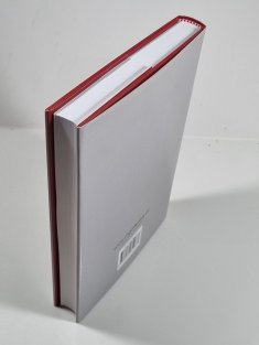 Tak to dělá Toyota