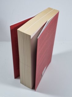 Československo mezi Stalinem a Hitlerem - Benešova cesta k Mnichovu