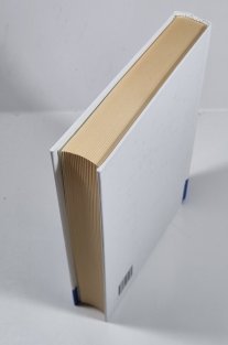 Adam a kabalistický strom