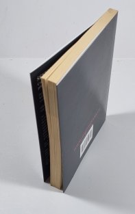 Šéfem ze dne na den