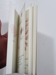 Ukolébavka pro malé pávy (a pány)