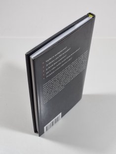 Člověk v zrcadle teorie her