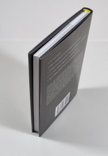 Jak jsme zkonstruovali svou mysl