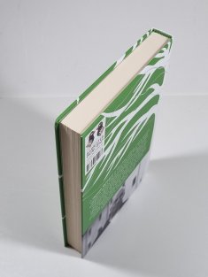 Mystici a zenoví mistři