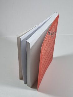 Trojský kůň ve městě Božím