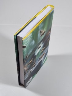 Zázračný svět včel