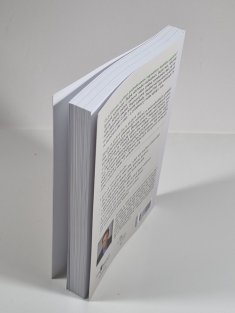 Kdy - Věda a umění dokonalého načasování